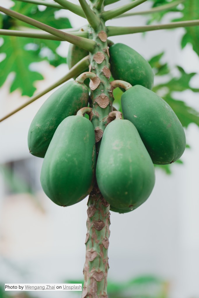 Papaya - the fruit of the angels
